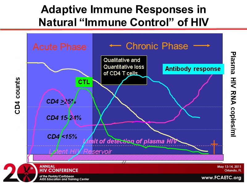 Adaptive Immune Responses in  Natural “Immune Control” of HIV CD4 <15% CD4 >25%